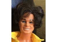 sport and shave ken doll